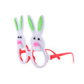 Lunettes de Déguisement pour Enfant | Accessoire Pâques Lapin